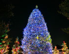 Christmas Wallpapers 197